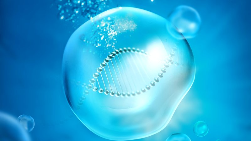 生物医药外包设备：揭秘其关键参数与选型逻辑**