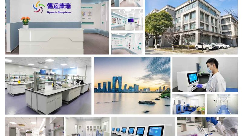 生物科技公司应用领域探析：从研发到市场**