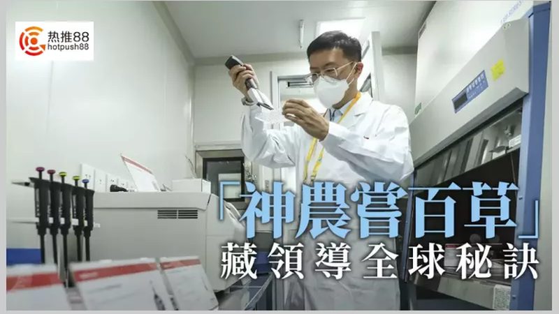 引物合成：确保PCR实验精准的基石