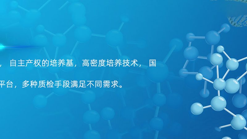 CDMO与CMO：揭秘医药研发中的关键角色