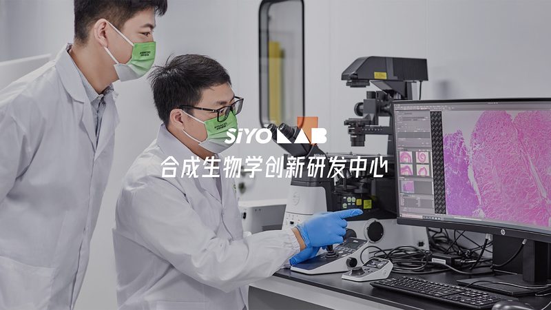 全基因组检测：揭秘个人基因密码的价格之谜**
