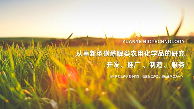 CDMO加盟代理，揭秘那些隐藏的加盟条件