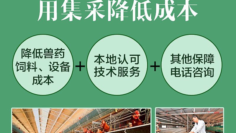 重组抗体：揭秘上海生产服务的关键要素**