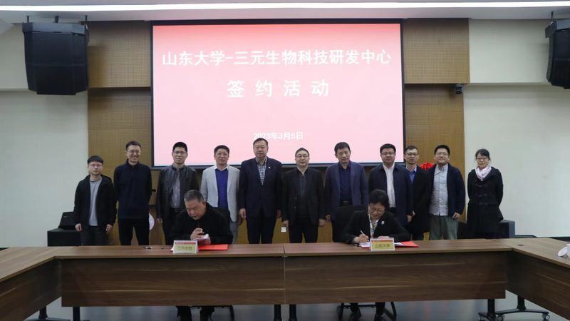 cro优化与用户体验权重分配